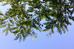 20180630_165122